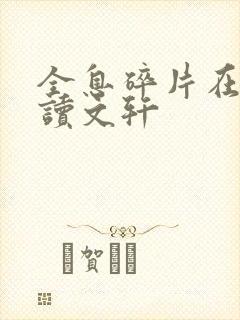 全息碎片在线阅读文轩