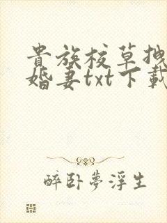 贵族校草拽拽未婚妻txt下载