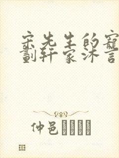 宋先生的宠妻计划轩家沐言