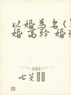 以婚为名 (军婚 高干 婚恋)