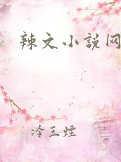 辣文小说网