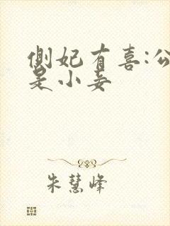 侧妃有喜:公主是小妾