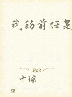 我的前任是极品