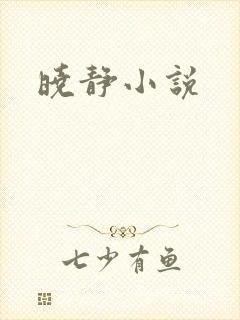 晓静小说