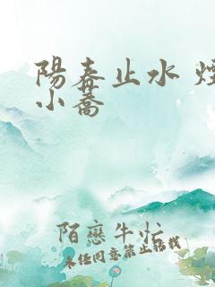 阳春止水 烟树小荞