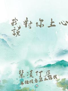 我对你上心了小说