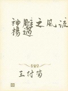 神雕之风流浪子杨过