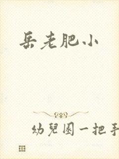 岳老肥小