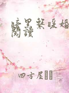 暗黑系暖婚免费阅读