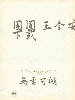 团圆 王全安 下载