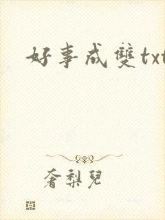 好事成双txt