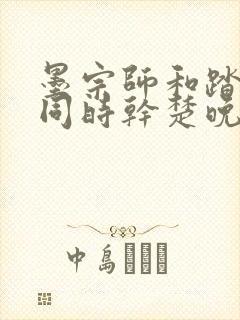 墨宗师和踏仙君同时干楚晚宁