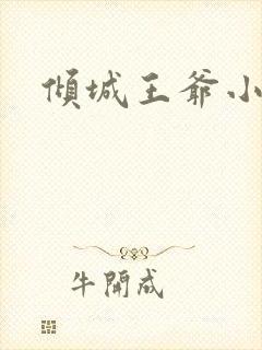 倾城王爷小小妃
