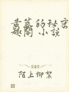 黄蓉的秘密 笔趣阁 小说