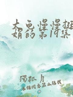 大龟慢慢挺进张娟的第19集