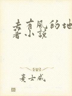 去有风的地方原著小说