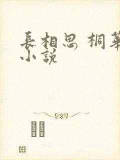 长相思 桐华 小说