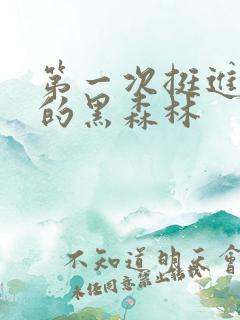 第一次挺进麻麻的黑森林