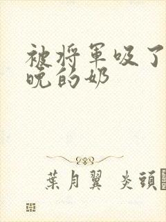 被将军吸了一整晚的奶