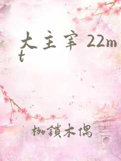 大主宰 22mt
