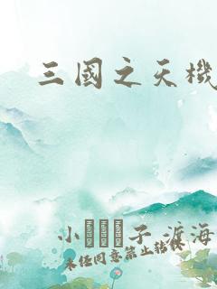 三国之天机军师