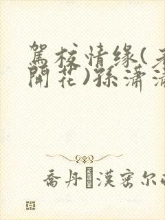 驾校情缘(老树开花)孙潇潇笔趣阁