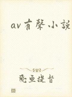 av有声小说