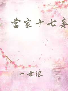 当家十七妾