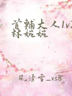 首辅大人1v2林婉婉