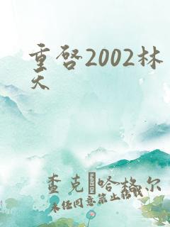 重启2002林天