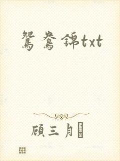 鸳鸯锦txt