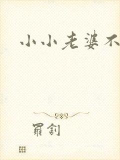 小小老婆不受宠