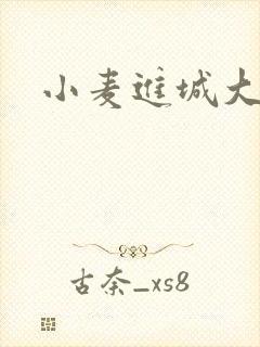 小麦进城大结局