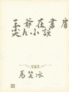 王爷在书房含乳尖h小说