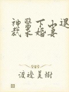 神医下山退婚总裁未婚妻