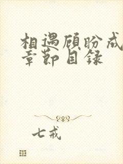 相遇顾盼成欢全章节目录