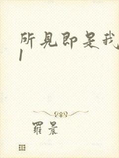 所见即是我1V1