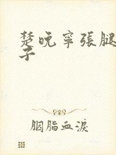 楚晚宁张腿放棋子