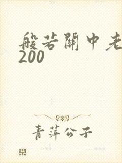 般若关中老人5200