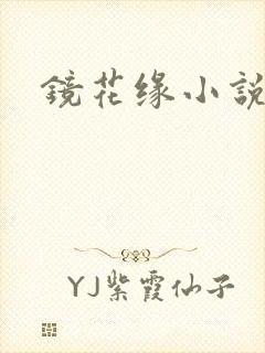 镜花缘小说