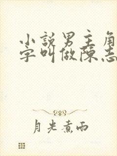 小说男主角的名字叫做陈志远