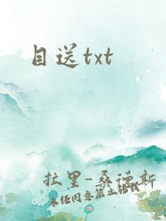 目送txt