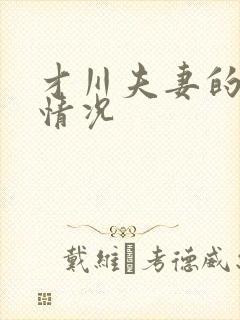 才川夫妻的恋爱情况