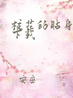 校花的贴身保镖下载