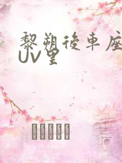 黎朔后车座上SUV里