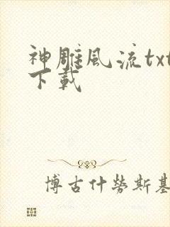 神雕风流txt下载