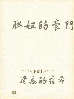 胖妞的豪门之旅