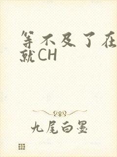 等不及了在车里就CH