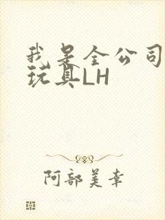 我是全公司发泄玩具LH