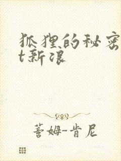 狐狸的秘密txt新浪